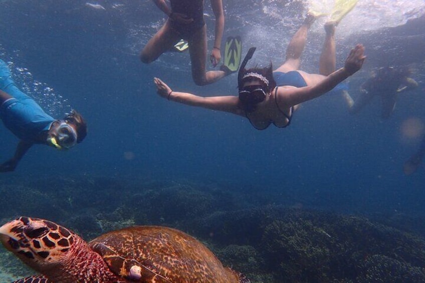 Private Snorkeling Tour at Pigeon Island Trincomalee
