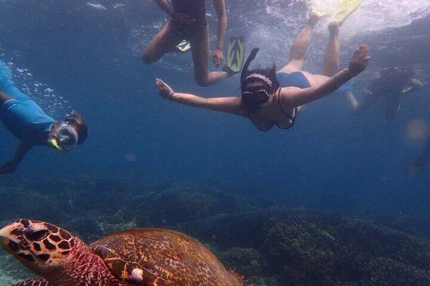 Private Snorkeling Tour at Pigeon Island Trincomalee