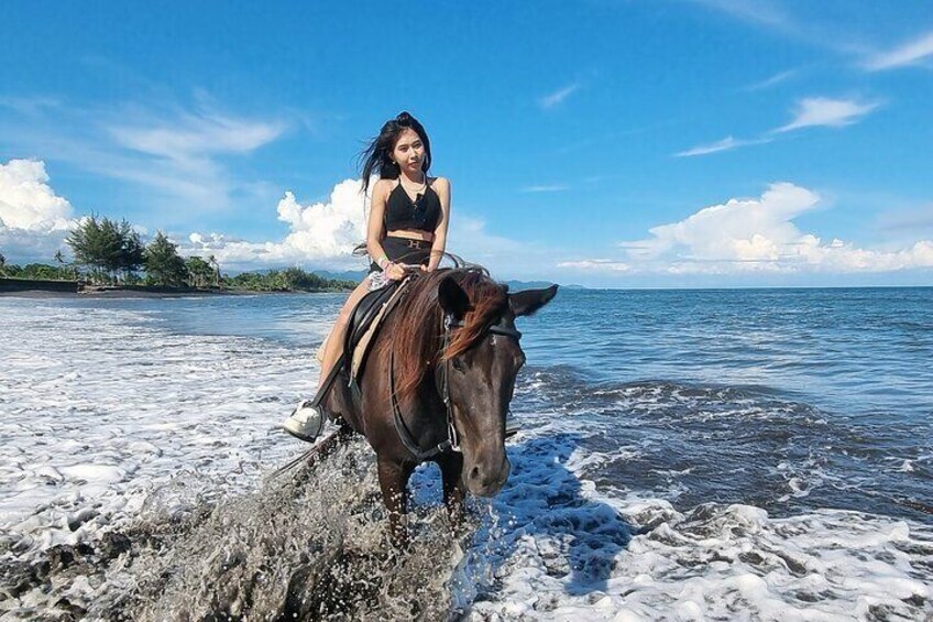 Saba Beach Horse Riding and Turtle Release