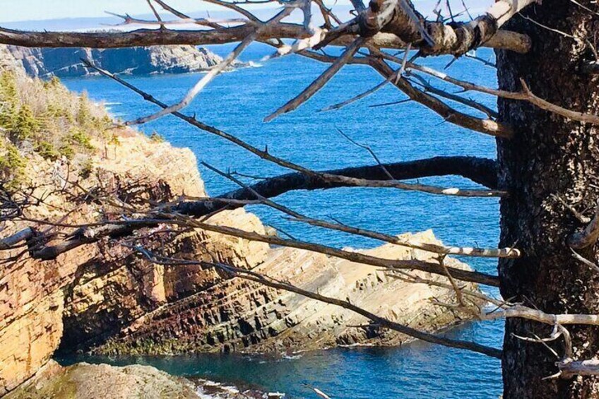Stiles Cove, just a quick jaunt from downtown St. John's. I'll drive!