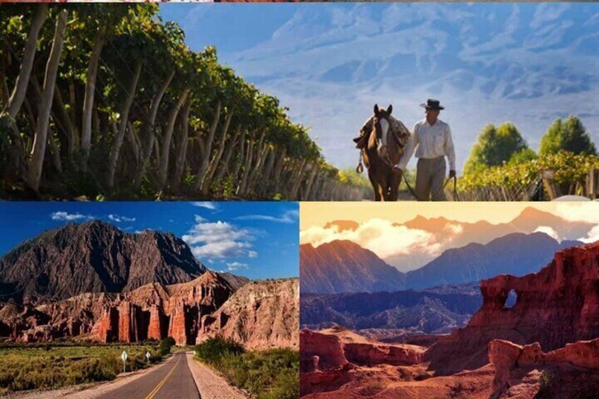 Wine and Sun Route in Cafayate