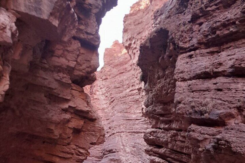 Wine and Sun Route in Cafayate