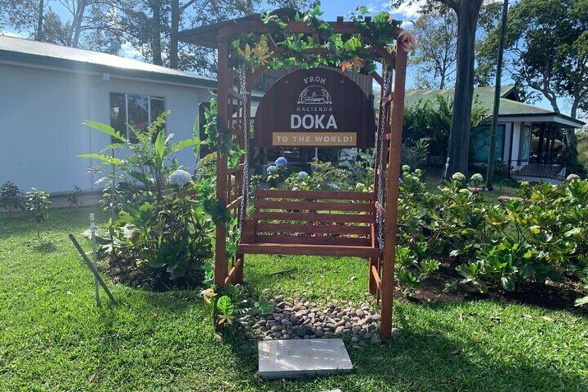 DoKa Coffee Farm & La Paz Waterfall Gardens tour from San Jose