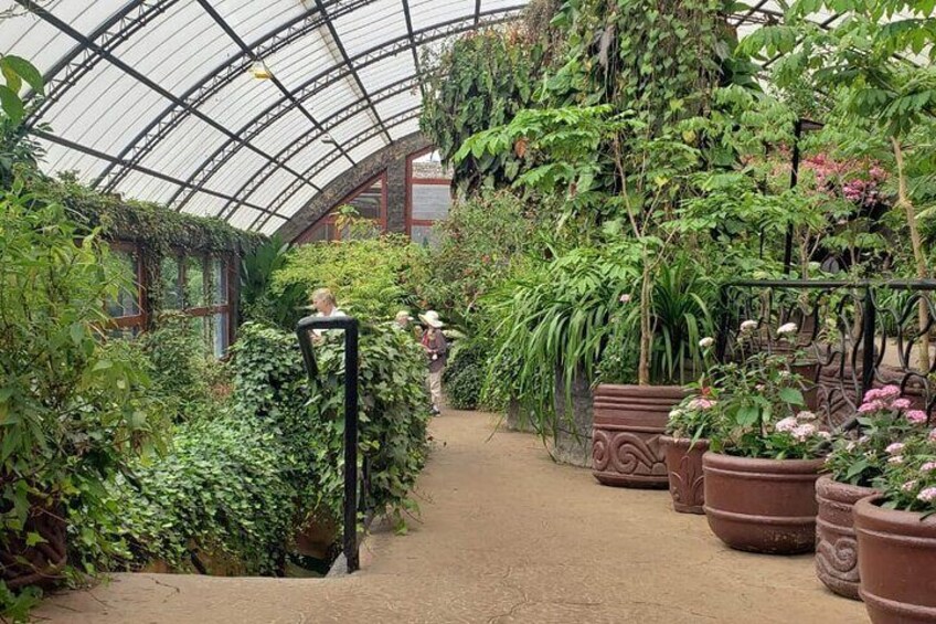 Butterfly Garden at La Paz