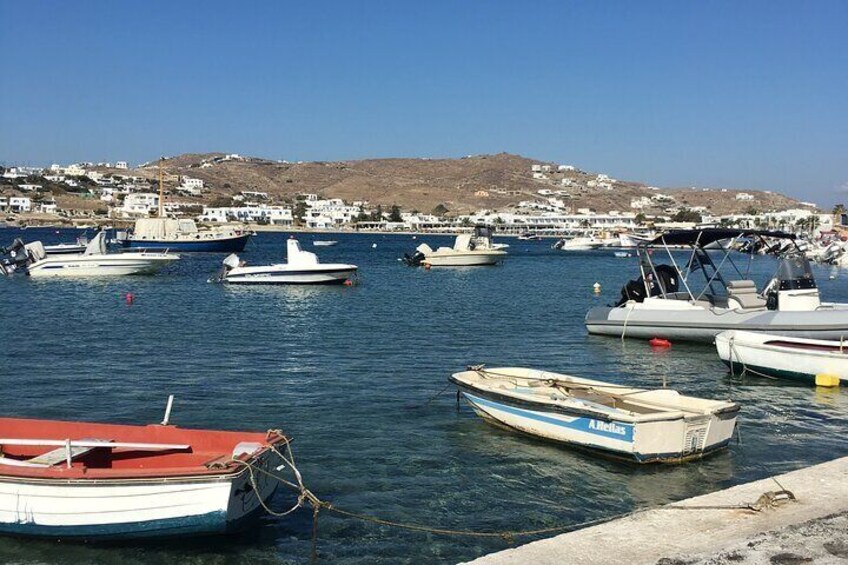 Mykonos Island Local Tour 