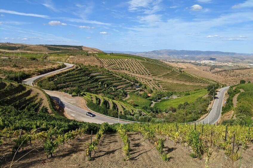 Douro Valley