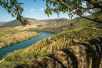 Douro Full Year