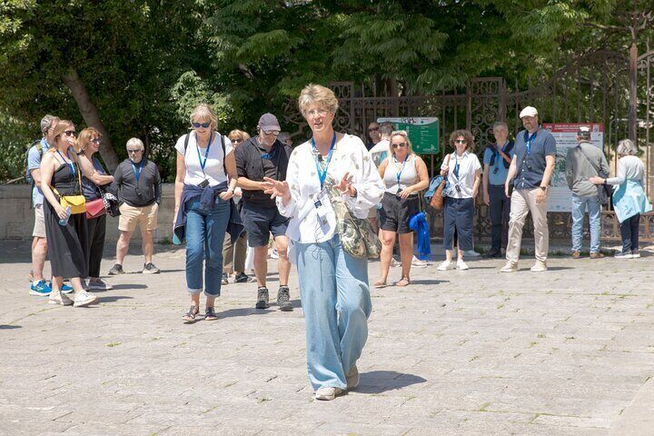 Enchanting Historical Walking Tour in Avignon