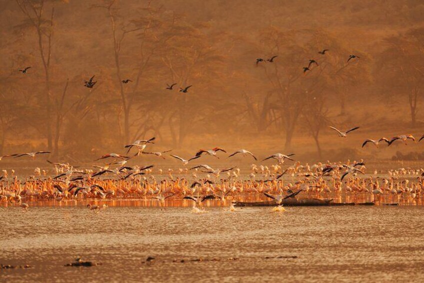 Lake Nakuru National Park