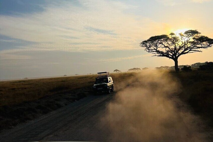 Amboseli National Park