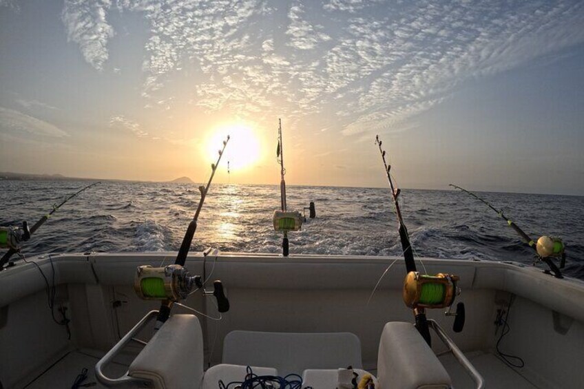 Private Fishing Charter in Tenerife South 4 Hours