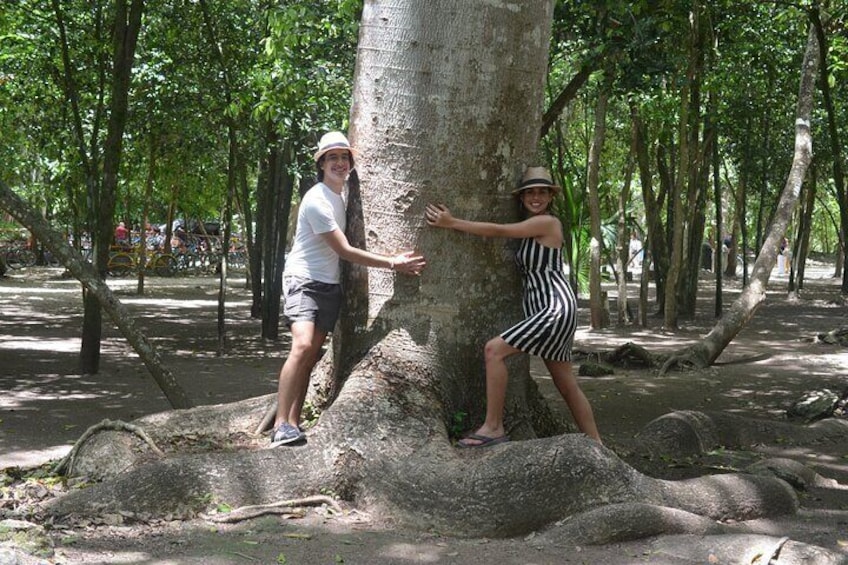 Tulum and Coba Tour from Cancun