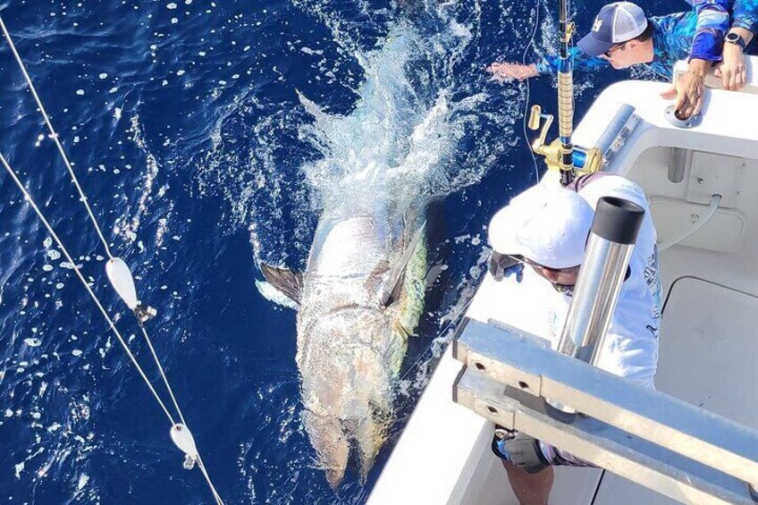 Private Fishing Charter in Tenerife South 6 Hours