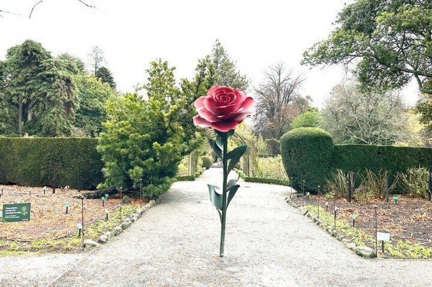 Christchurch City Top Spots Half Day Tour(Small Group Tour)