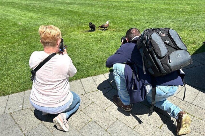 Christchurch City Top Spots Half Day Tour(Small Group Tour)