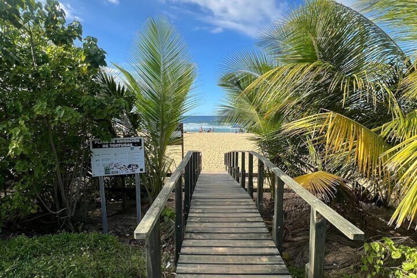 Caves Coastlines and Beach; Cueva del Indio, Arecibo Adventure