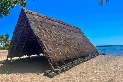 私人大島:歷史及當地市場之旅 (最多12個)