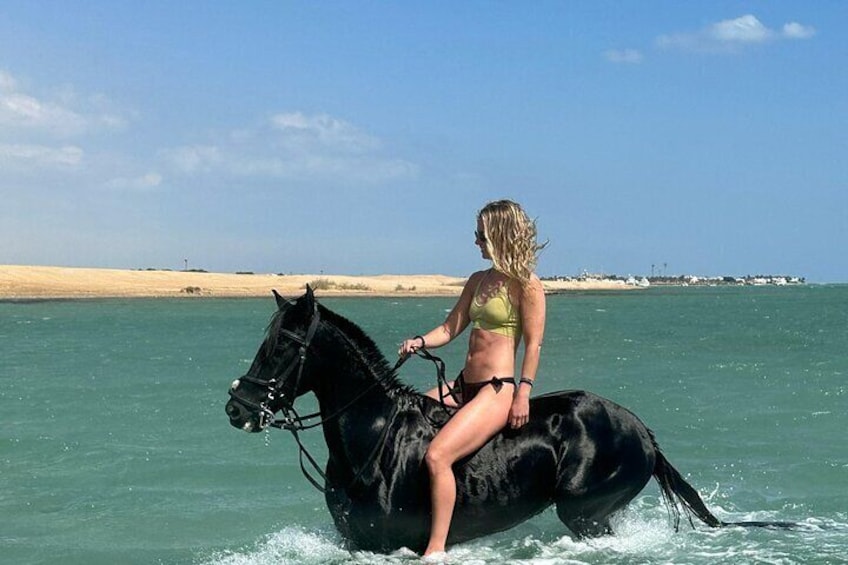 Desert and Red Sea Horseback Riding Tour with Transfers Hurghada