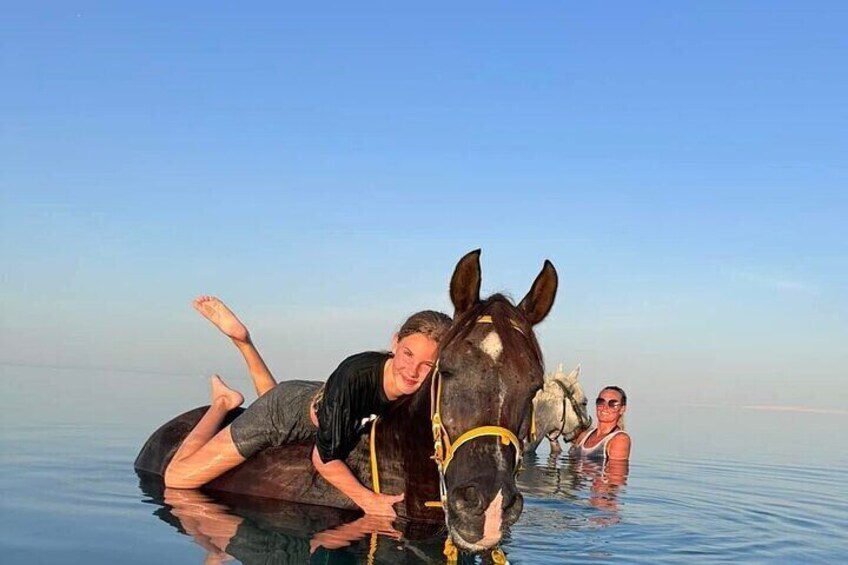 Desert and Red Sea Horseback Riding Tour with Transfers Hurghada