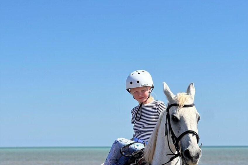 Desert and Red Sea Horseback Riding Tour with Transfers Hurghada