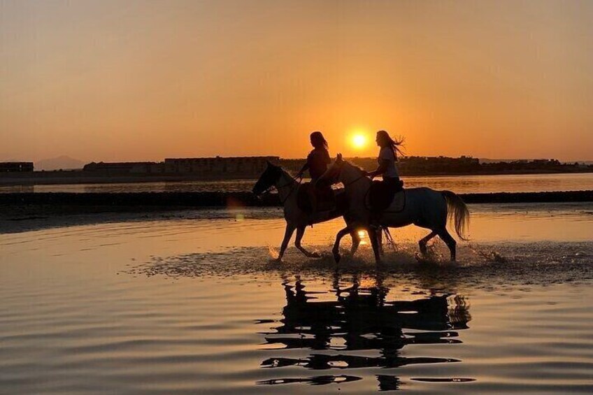 Desert and Red Sea Horseback Riding Tour with Transfers Hurghada
