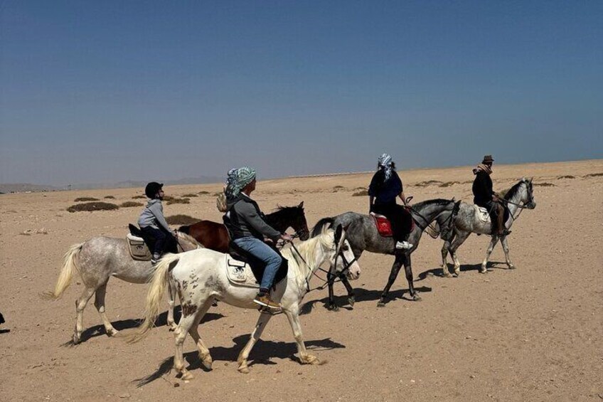 Desert and Red Sea Horseback Riding Tour with Transfers Hurghada