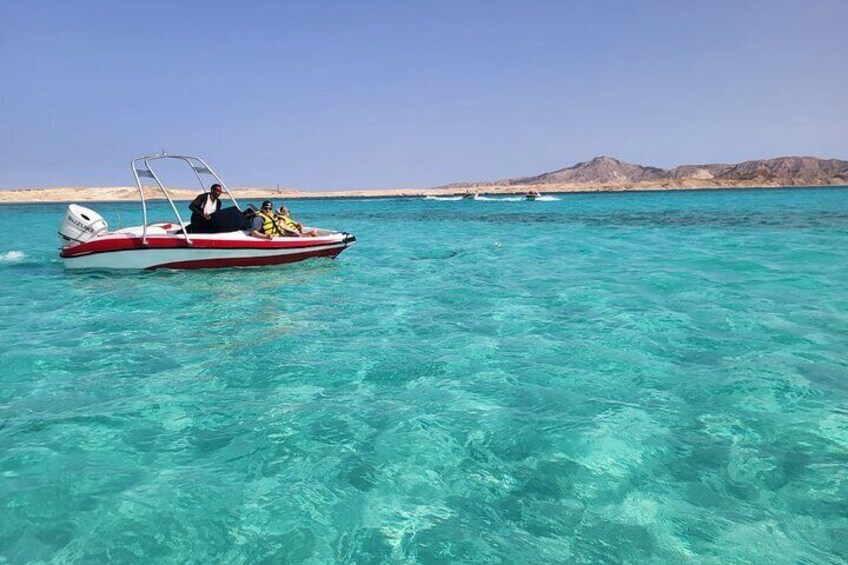 Private Speedboat Swim with Dolphins