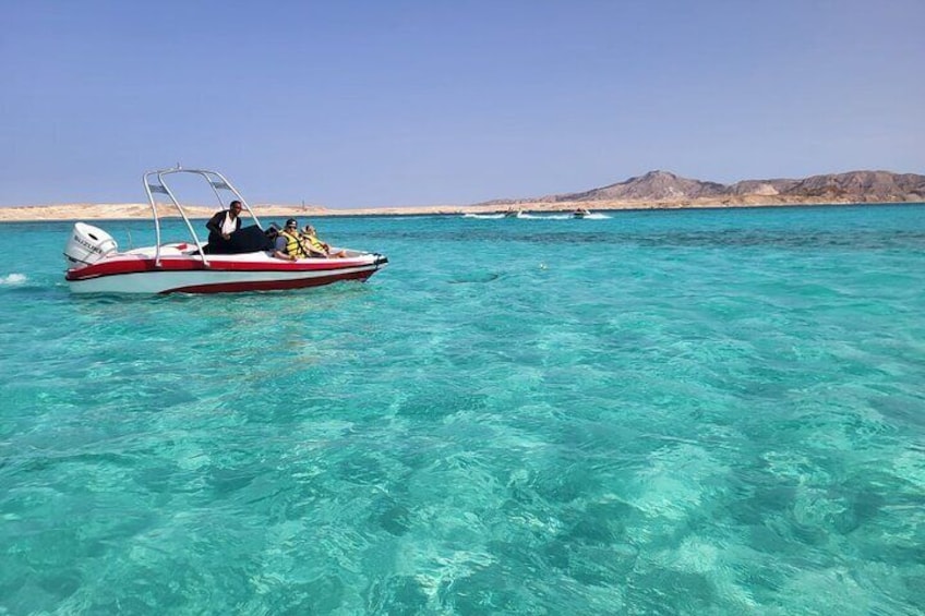 Private Speedboat Swim with Dolphins