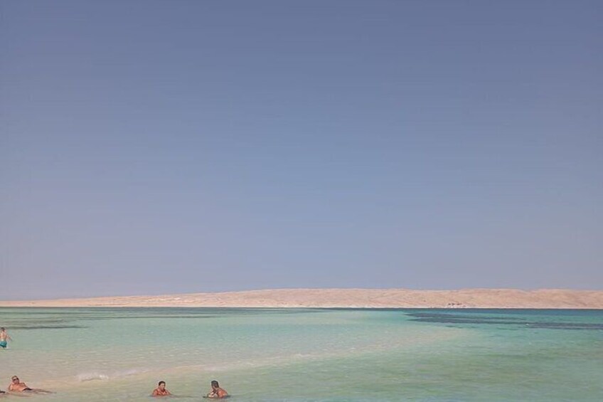 Private Speedboat Swim with Dolphins
