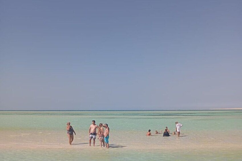 Private Speedboat Swim with Dolphins
