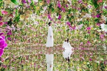 TeamLab SuperNature Macao Admission Ticket