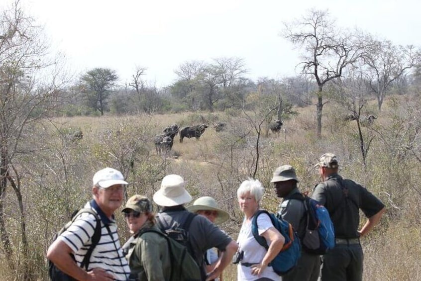 Guided 7 Day Kruger Safari Tour - South to North