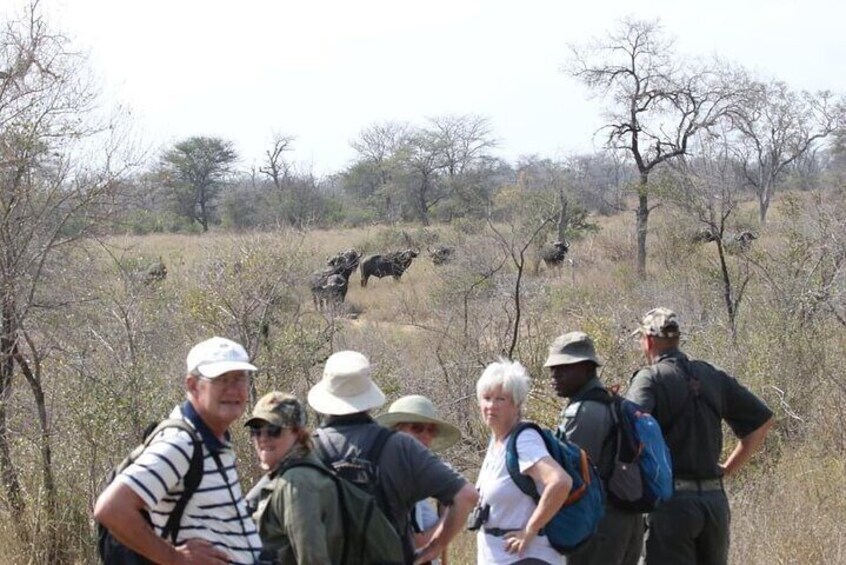 Guided 7 Day Kruger Safari Tour - South to North