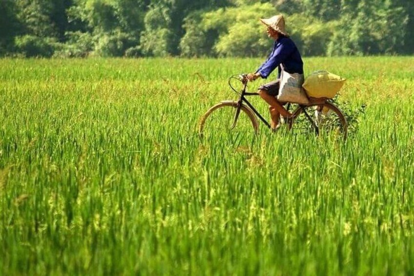 Mai Chau Full Day Group Tour from Hanoi