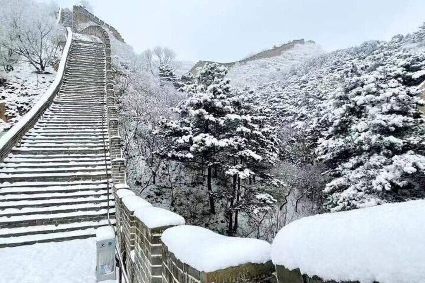 BusTour: Badaling Great Wall and Summer Palace Day Tour