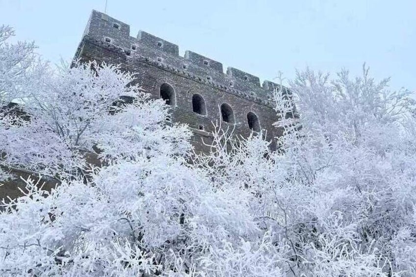BusTour: Badaling Great Wall and Summer Palace Day Tour