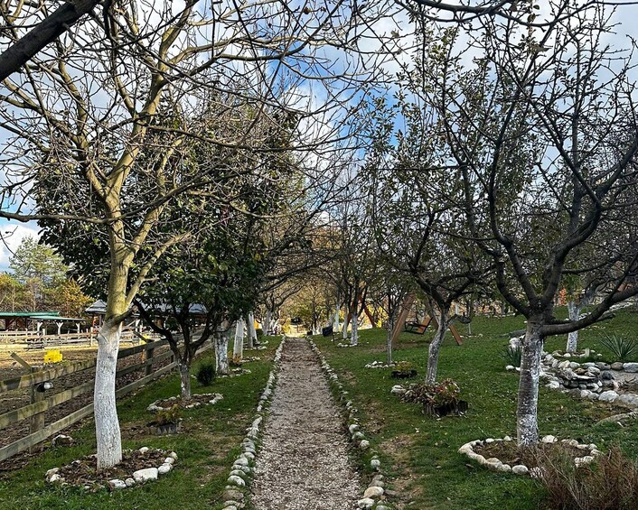 From Sarajevo: Visoko Pyramids, Plantations & Horse Riding