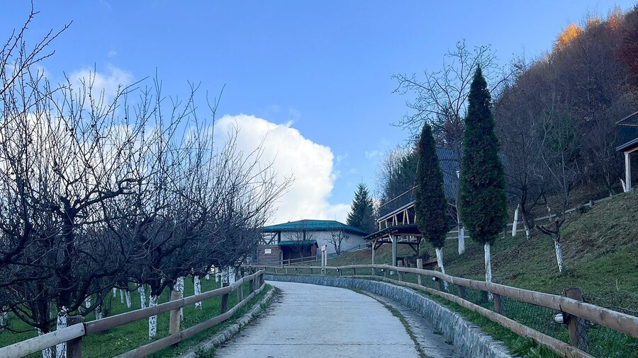 From Sarajevo: Visoko Pyramids, Plantations & Horse Riding