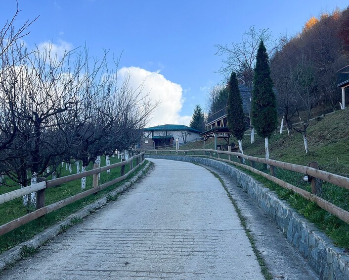 From Sarajevo: Visoko Pyramids, Plantations & Horse Riding