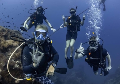 Koh Tao: PADI Premium Open Water Diver Course (2.5 Days)