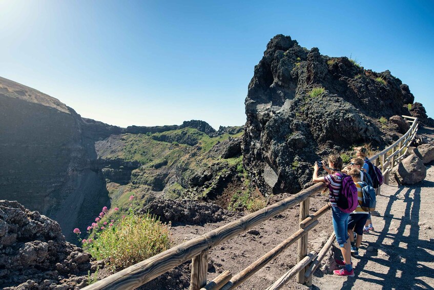 Picture 1 for Activity Pompeii: Mount Vesuvius Crater Transfer with Ticket