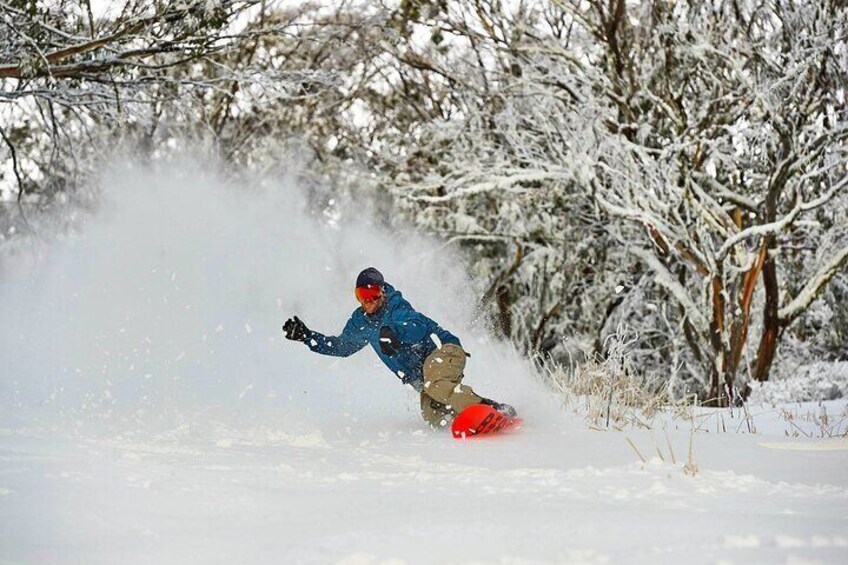 Melbourne Mt. Buller Alpine Adventure Day Tour