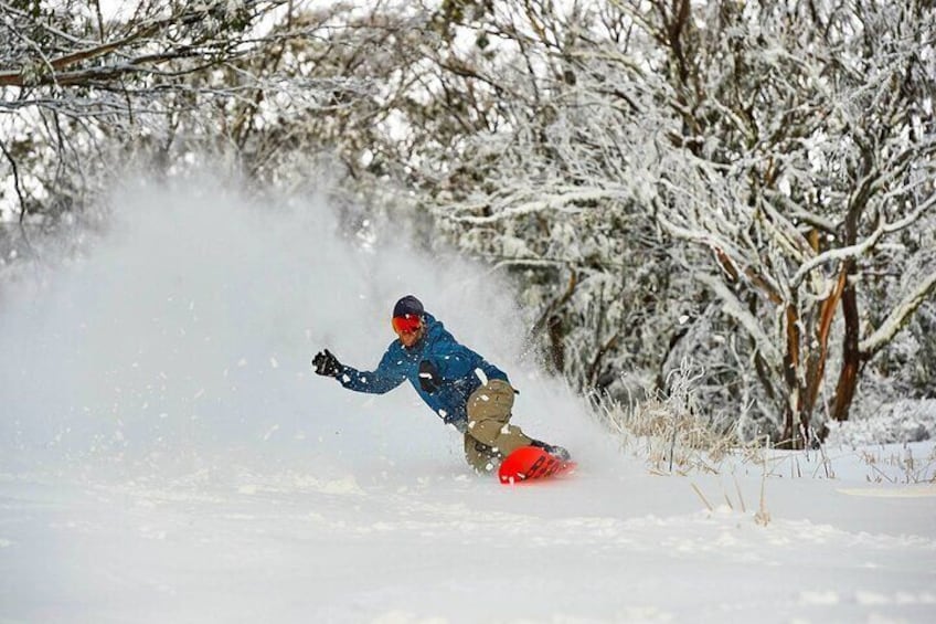 Melbourne Mt. Buller Alpine Adventure Day Tour