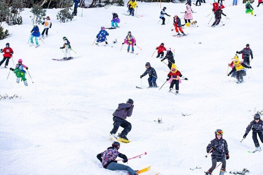 Melbourne Mt. Buller Alpine Adventure Day Tour