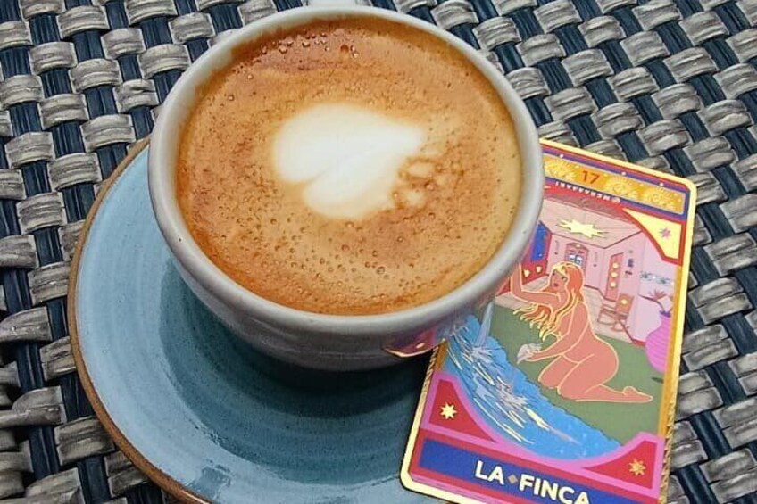 Experience Mistica Coffee Tasting and Letters in Bogota