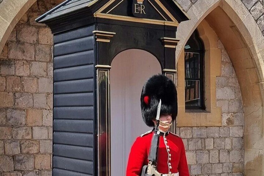 Southampton Cruise Port Transfer to London with Tour