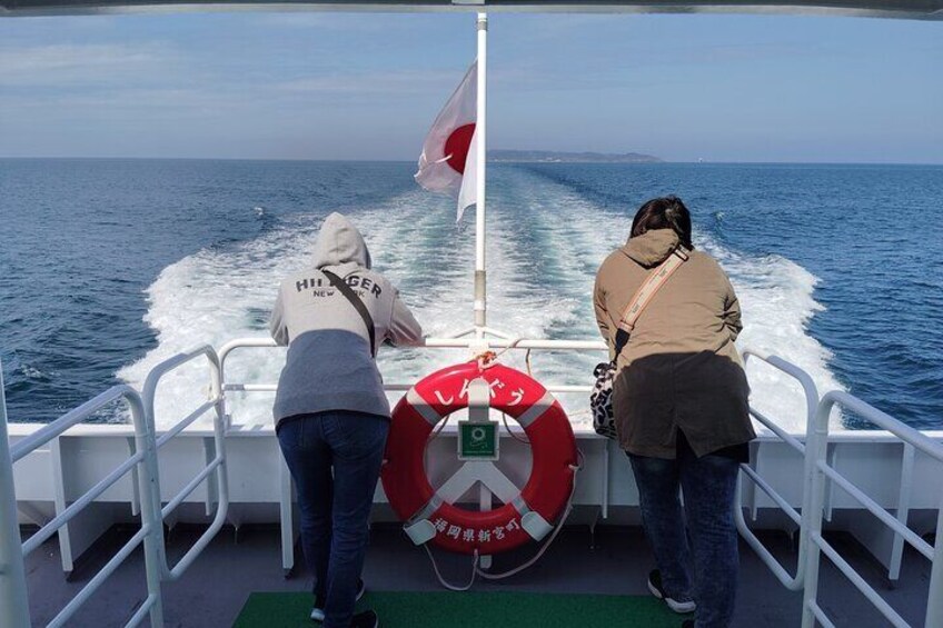 Ainoshima Island Cats Culture and Scenic Beauty Tour