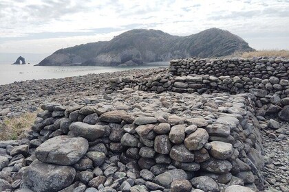 Ainoshima Island Cats Culture and Scenic Beauty Tour