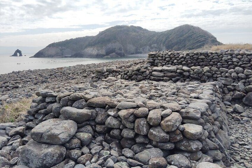 Ainoshima Island Cats Culture and Scenic Beauty Tour