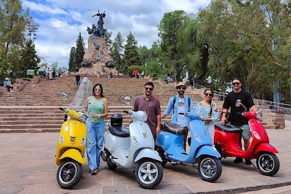 Tour of Mendoza with Winery and Olive Lunch